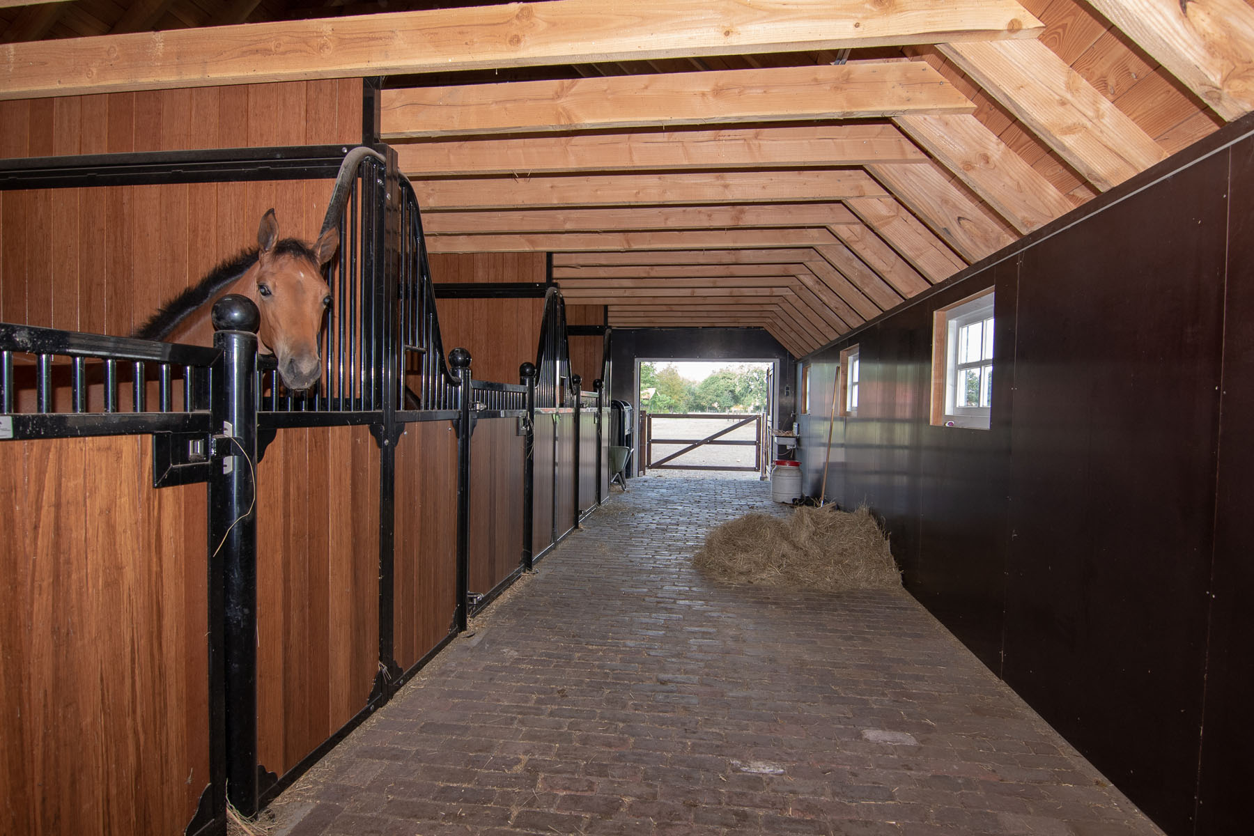 Paard in een paardenstal van een kapschuur