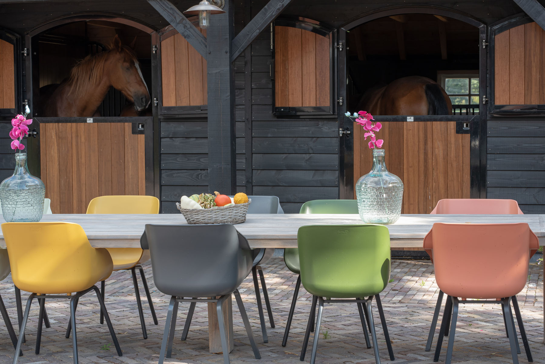 Paarden in een paardenstal van een kapschuur