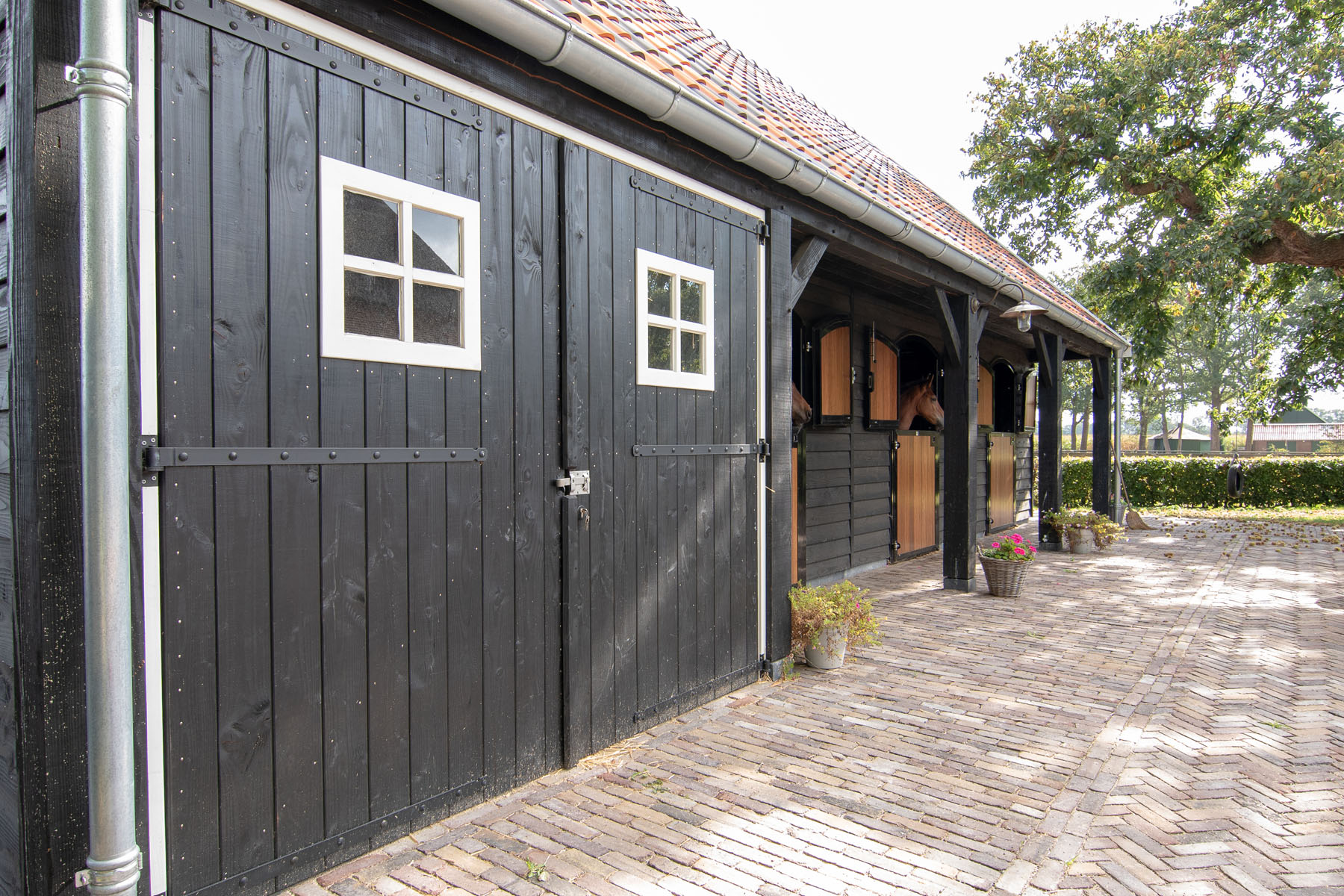 Paardenstalling bij een kapschuur