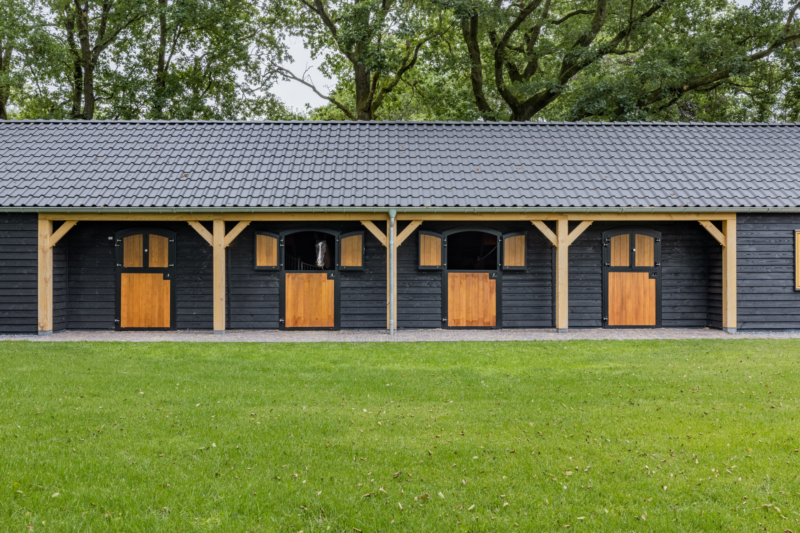 Staldeuren Houtbouw Holland