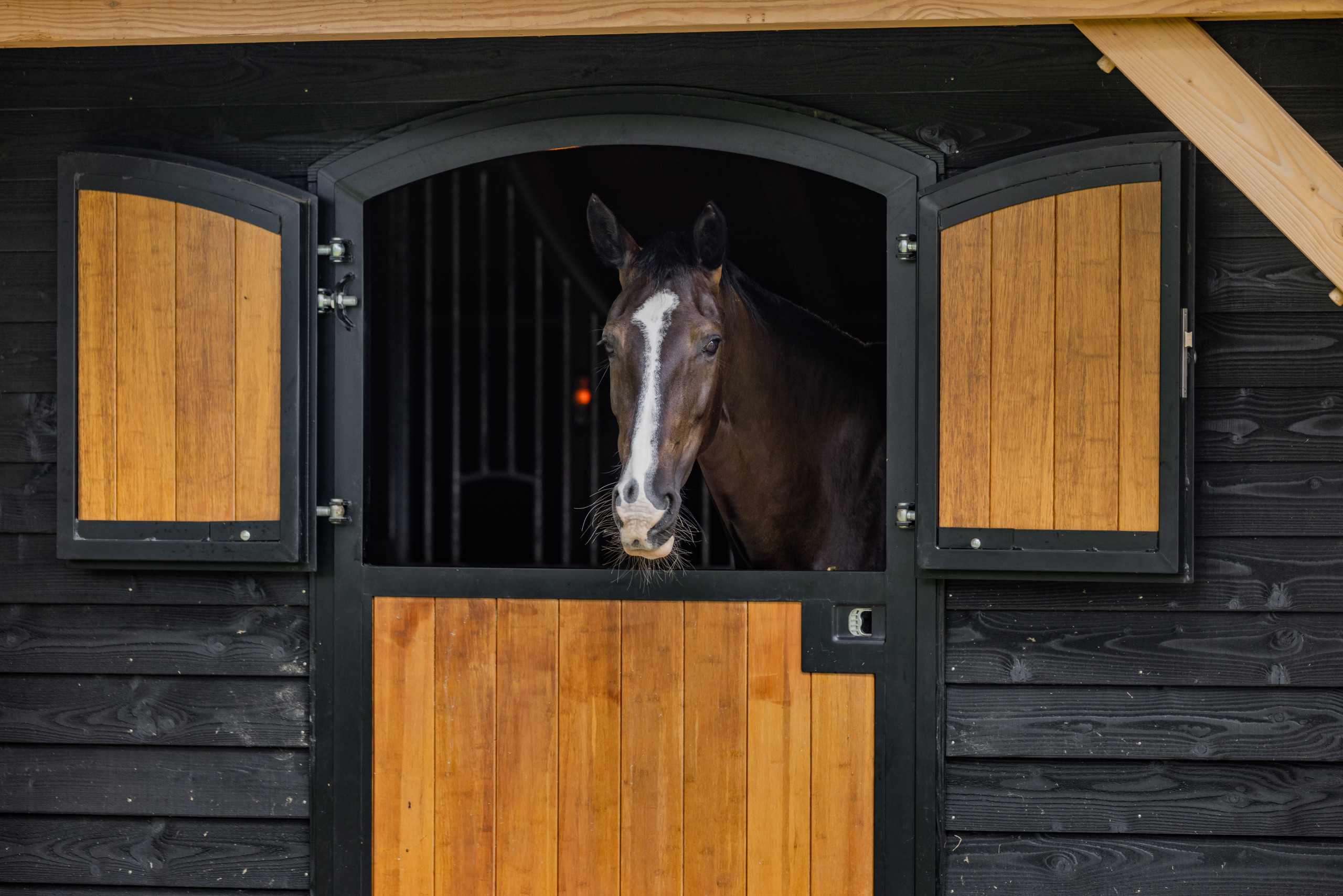 Staldeur schuur Houtbouw Holland