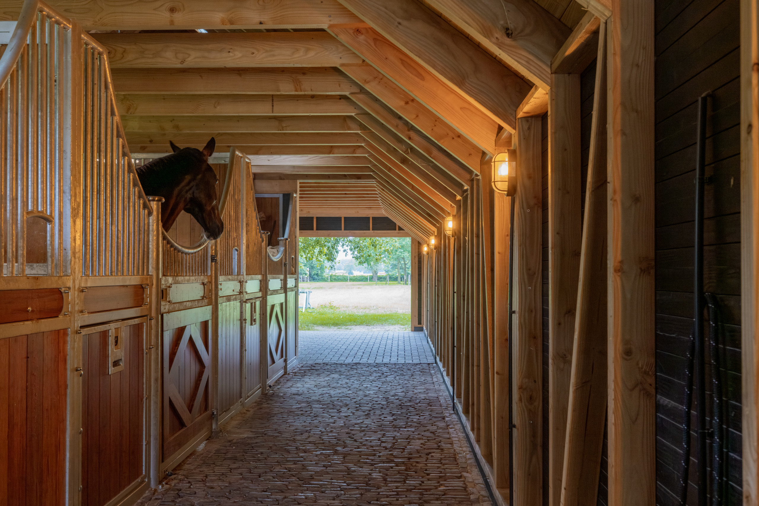 Houtbouw Holland paardenstal